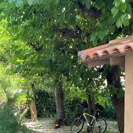 Апартаменты Carnon Evasion En Bord De Les Pieds Dans Le Sable Acces Prive Et Direct A La T4 Pour 6 Pers Terrasse Vue Parking Prive Gratuit Accueil Personnalise Могио
